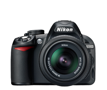 D3100