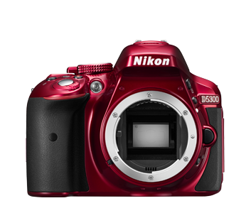 D5300