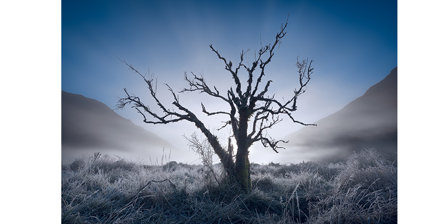 尼康nikond850专业全画幅大三元单反套机afs142428gafs247028evrafs